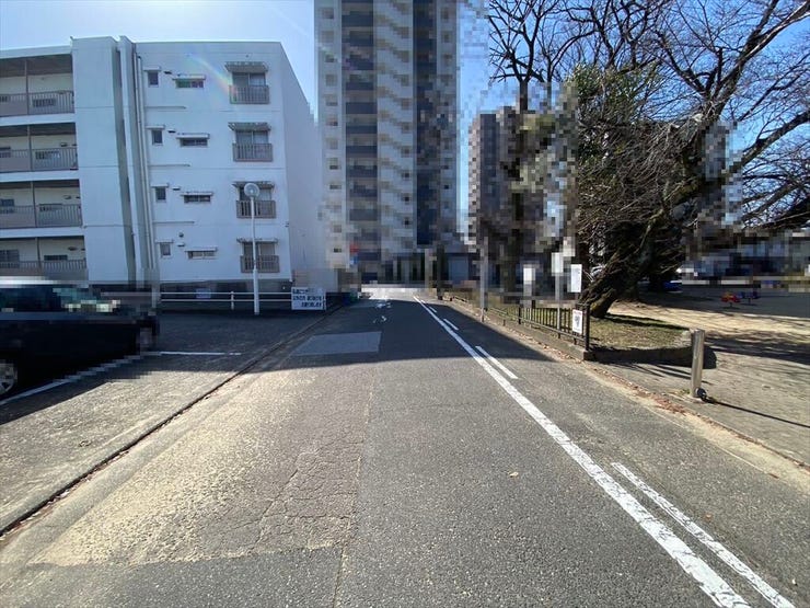2026/3/16撮影