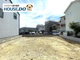 概観画像