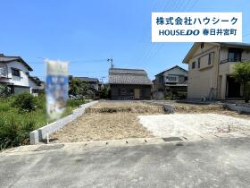 概観画像