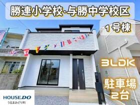 概観画像