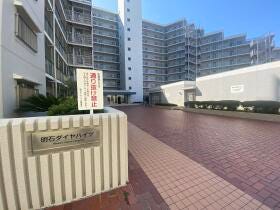 概観画像