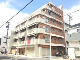 概観画像