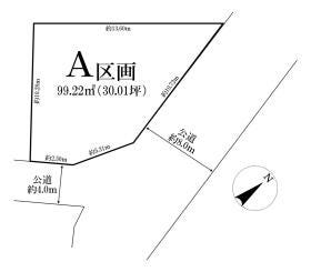概観画像