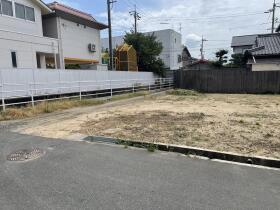 概観画像