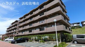 概観画像