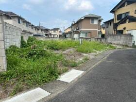 概観画像