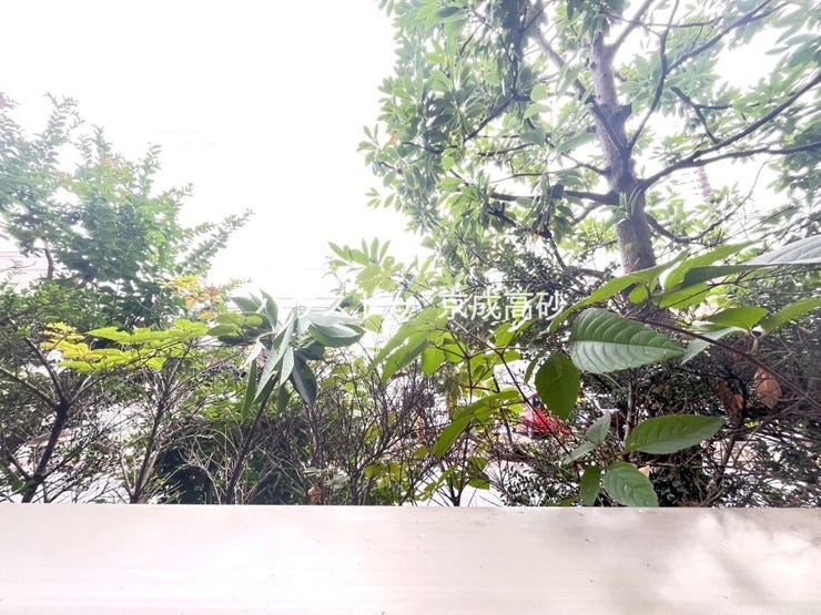 住戸からの眺望です。陽当り、通風良好です。
