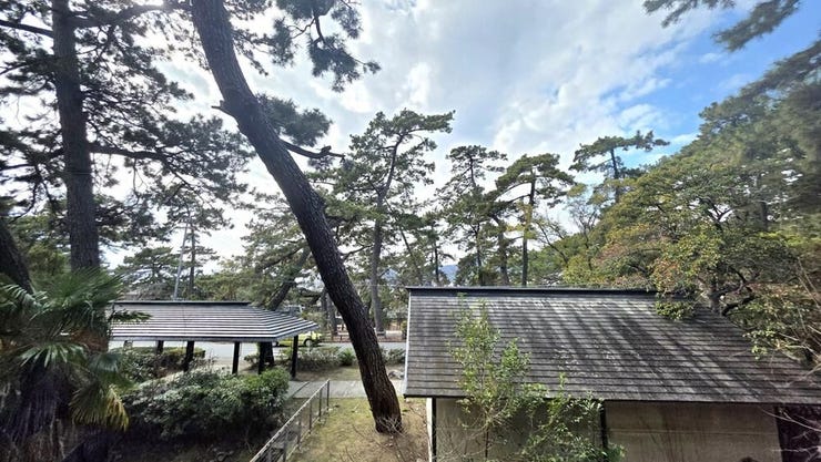 遮るもの建物がなく、自然を感じる開放感のある眺望♪