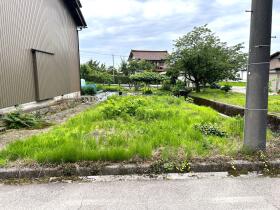 概観画像