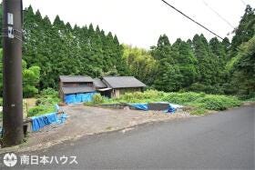 概観画像