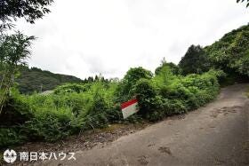 概観画像