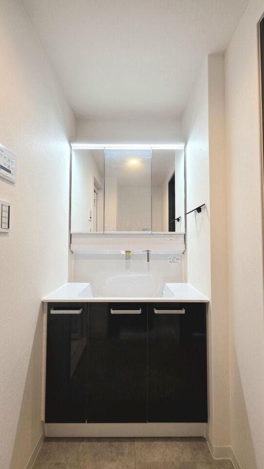 忙しい朝に嬉しいシャワー付き洗面台