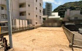 概観画像
