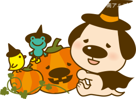 概観画像