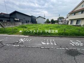 概観画像