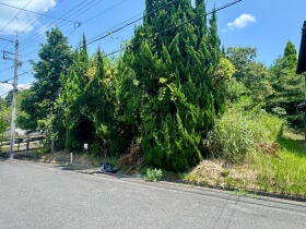 概観画像