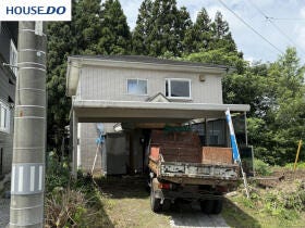 概観画像