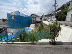 概観画像