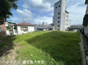 概観画像