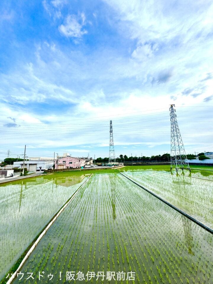 開発分譲地内に立地し、周辺には田園風景も。落ち着いた環境で子育てにも安心。