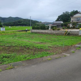 概観画像