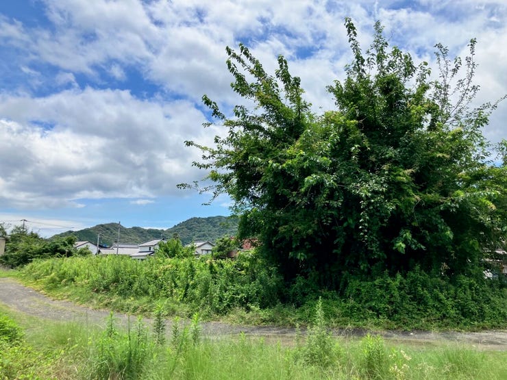 ★宇佐小学校区★