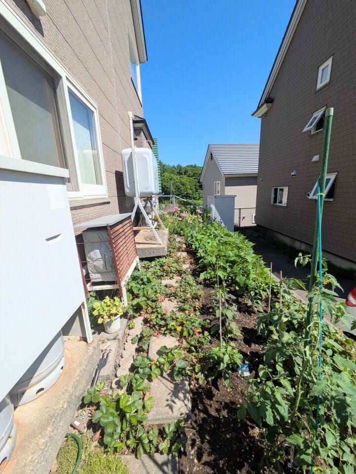 家脇庭
家庭菜園も楽しめる庭です♪