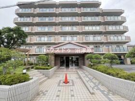 概観画像