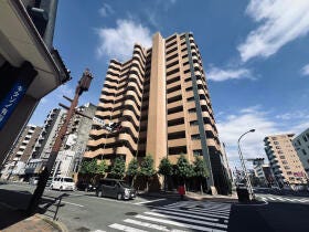 概観画像