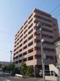 概観画像