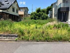 概観画像