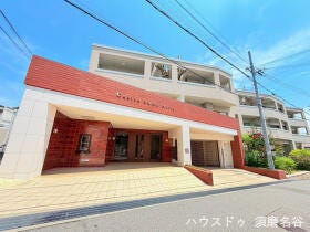 概観画像