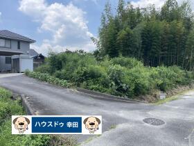 概観画像