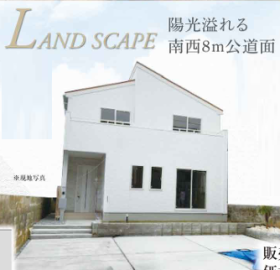 概観画像