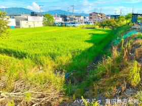 概観画像