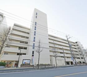 概観画像