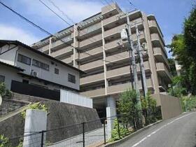 概観画像