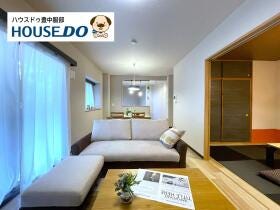 概観画像