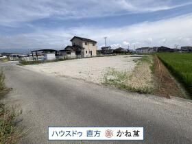概観画像