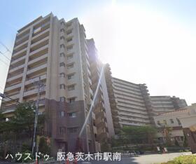 概観画像