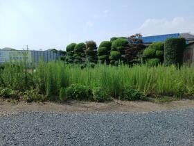 佐野市石塚町