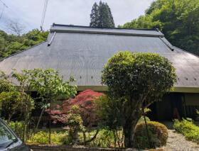 概観画像