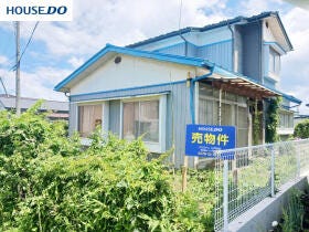 概観画像