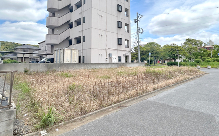 現地写真