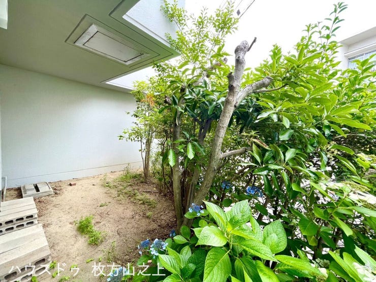 緑を身近に感じられる専用庭