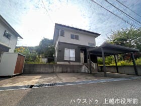 概観画像