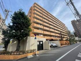 概観画像