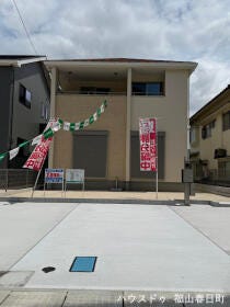 概観画像
