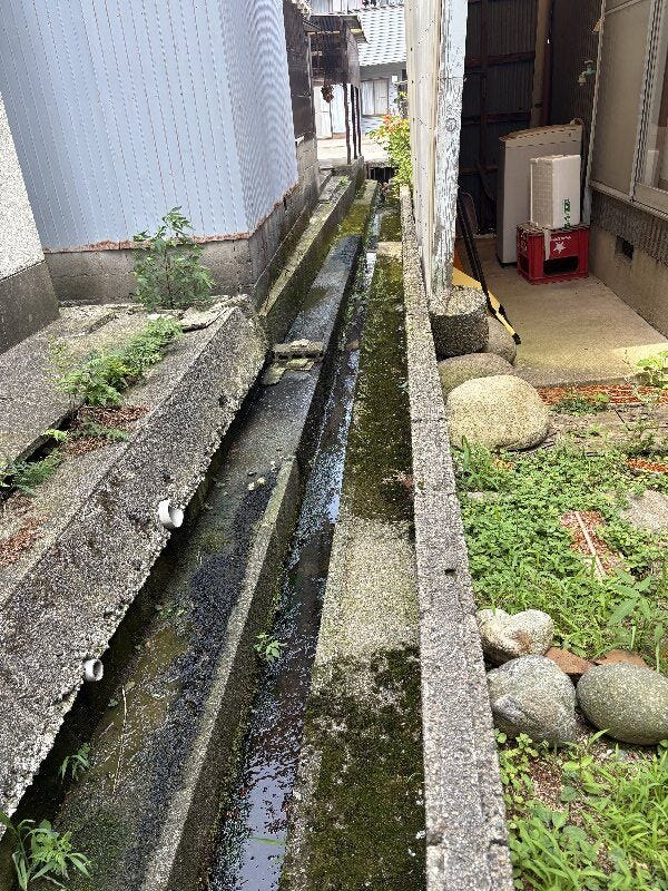 南側境界です。