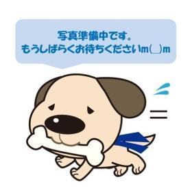 坂井市春江町江留上昭和